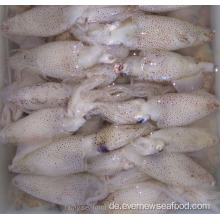 gefrorener liligo baby tintenfisch